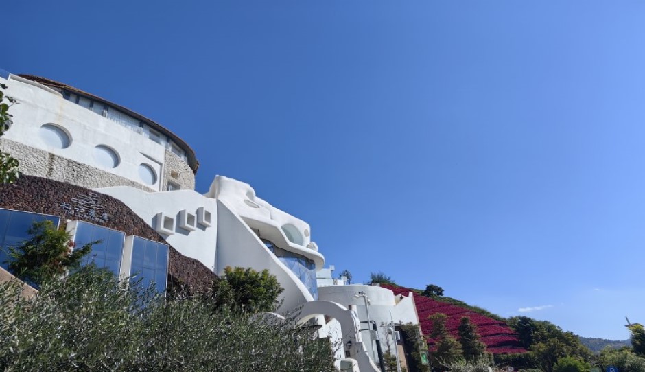 桐城羽绒家纺产业：产品提质焕新 冲破竞争“红海”