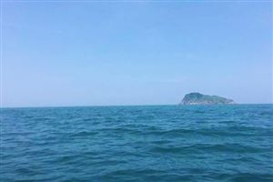 工业和信息化部办公厅关于印发制造业中试标准体系建设指南（2025版）的通知